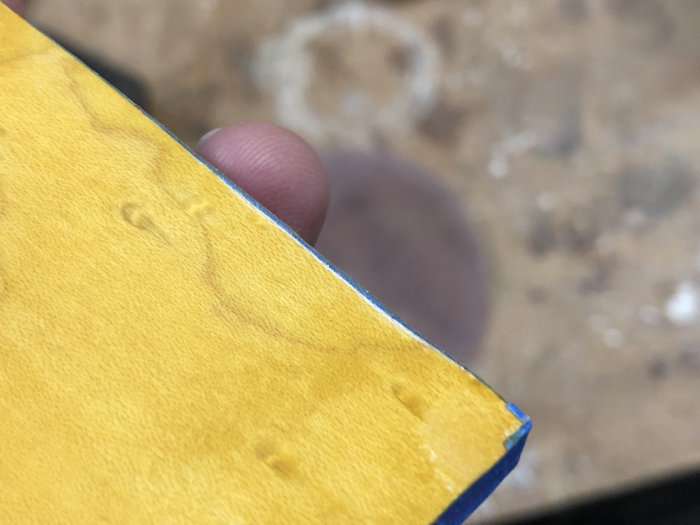 A close up on the square of birds-eye maple, where you can see along about an inch of the edge there is a section where there isn't any stain due to some proud masking tape.